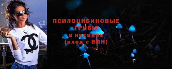 крисы Белокуриха
