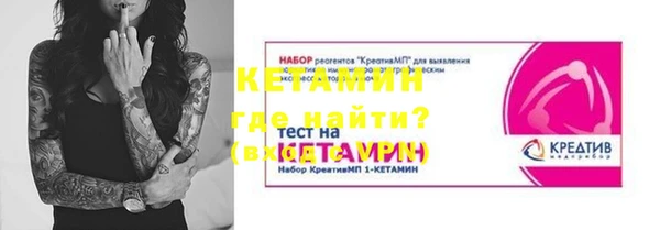 прущие грибы Баксан