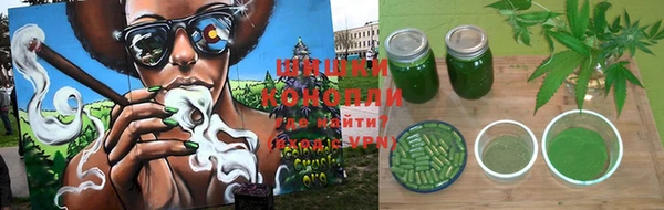 крисы Белокуриха