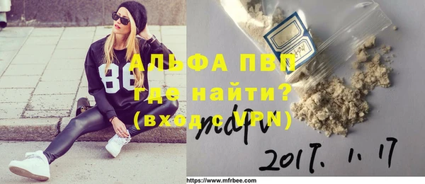 прущие грибы Баксан