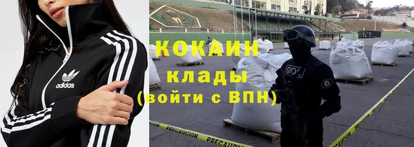 прущие грибы Баксан