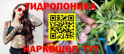 тгк Лесной