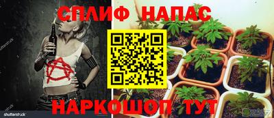 Альфа ПВП Пугачёв